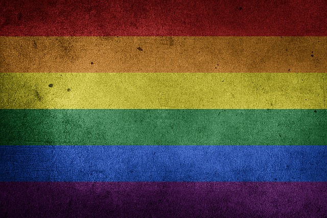 LGBTQ vlajka.jpg